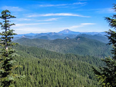 mt jefferson from chimney peak graphic